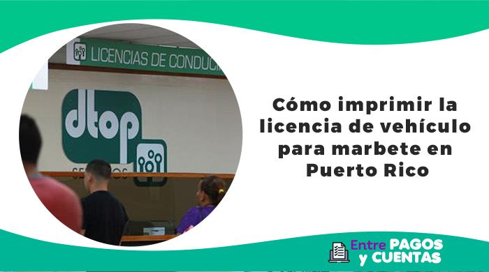 Cómo imprimir la licencia de vehículo para marbete en Puerto Rico