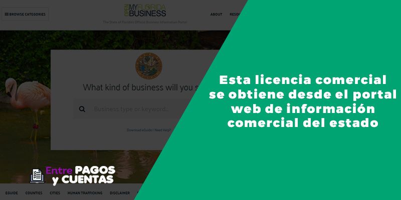licencias de negocios en miami